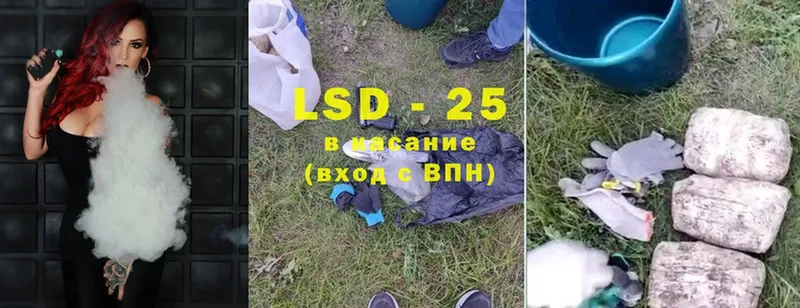 LSD-25 экстази кислота  купить наркотики сайты  маркетплейс формула  Верхняя Пышма 